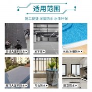 双虹水泥基滚刷防水防腐蚀墙面地面工程